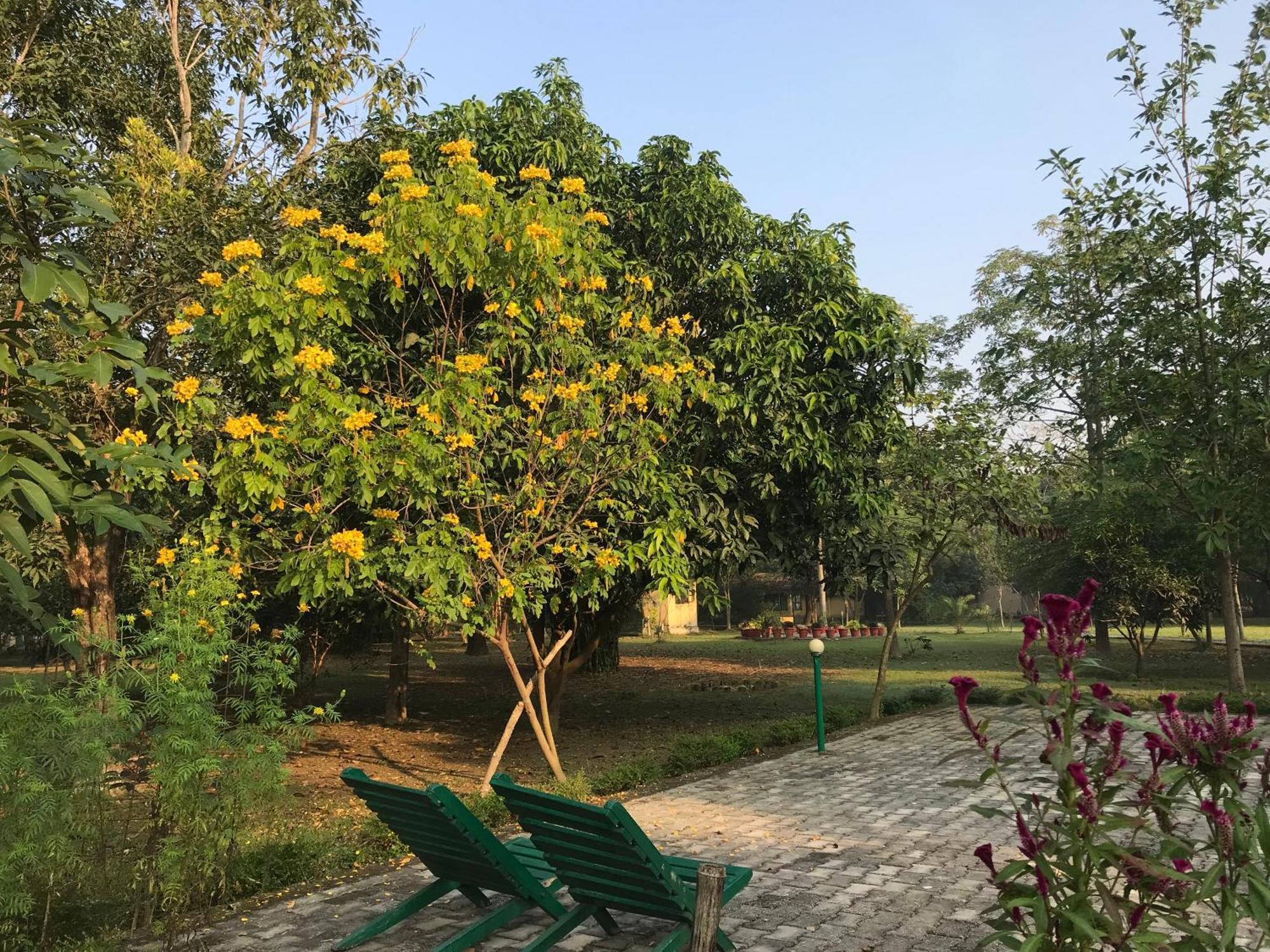 Lumbini Buddha Garden Resort Bagian luar foto