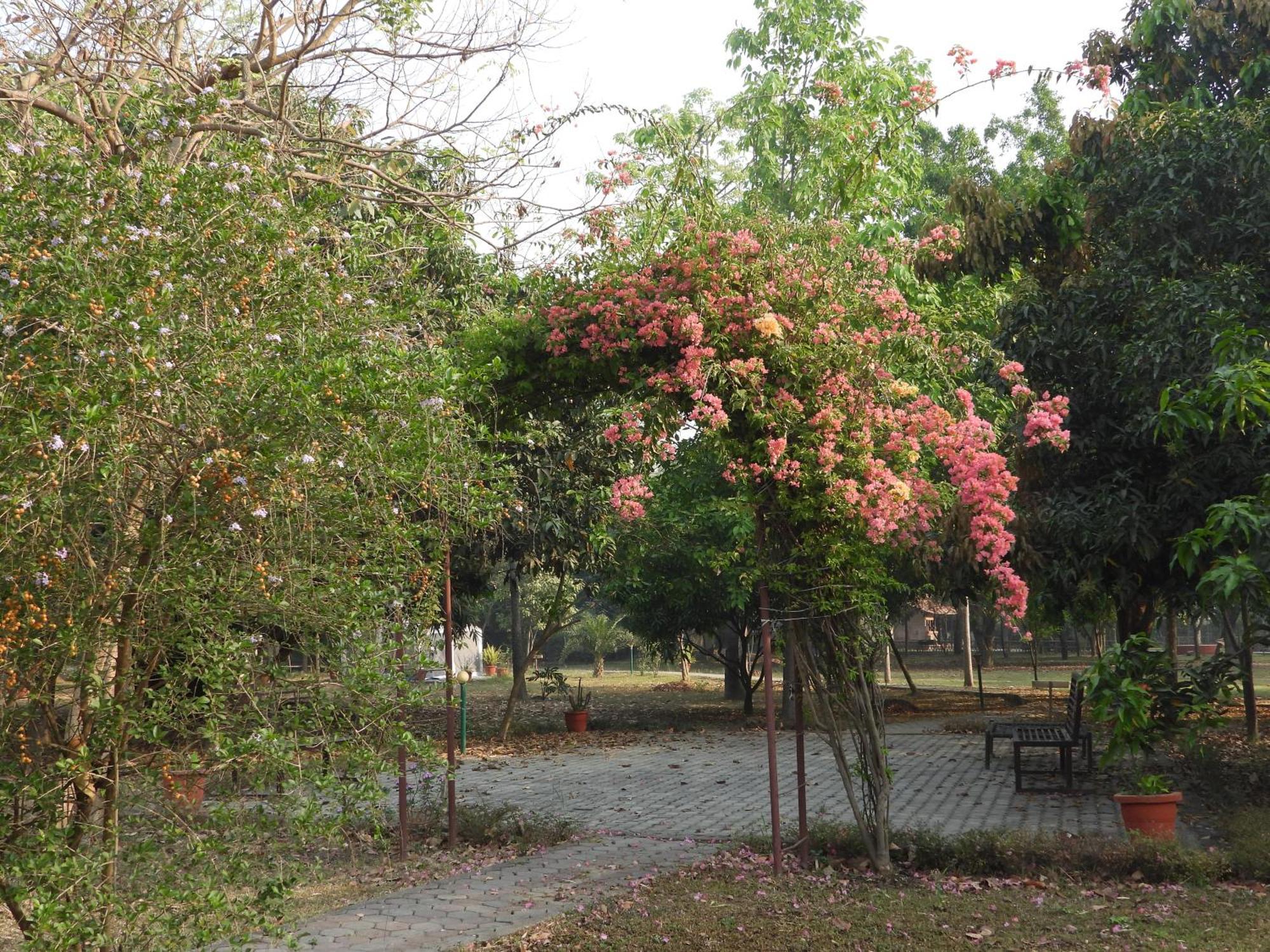 Lumbini Buddha Garden Resort Bagian luar foto
