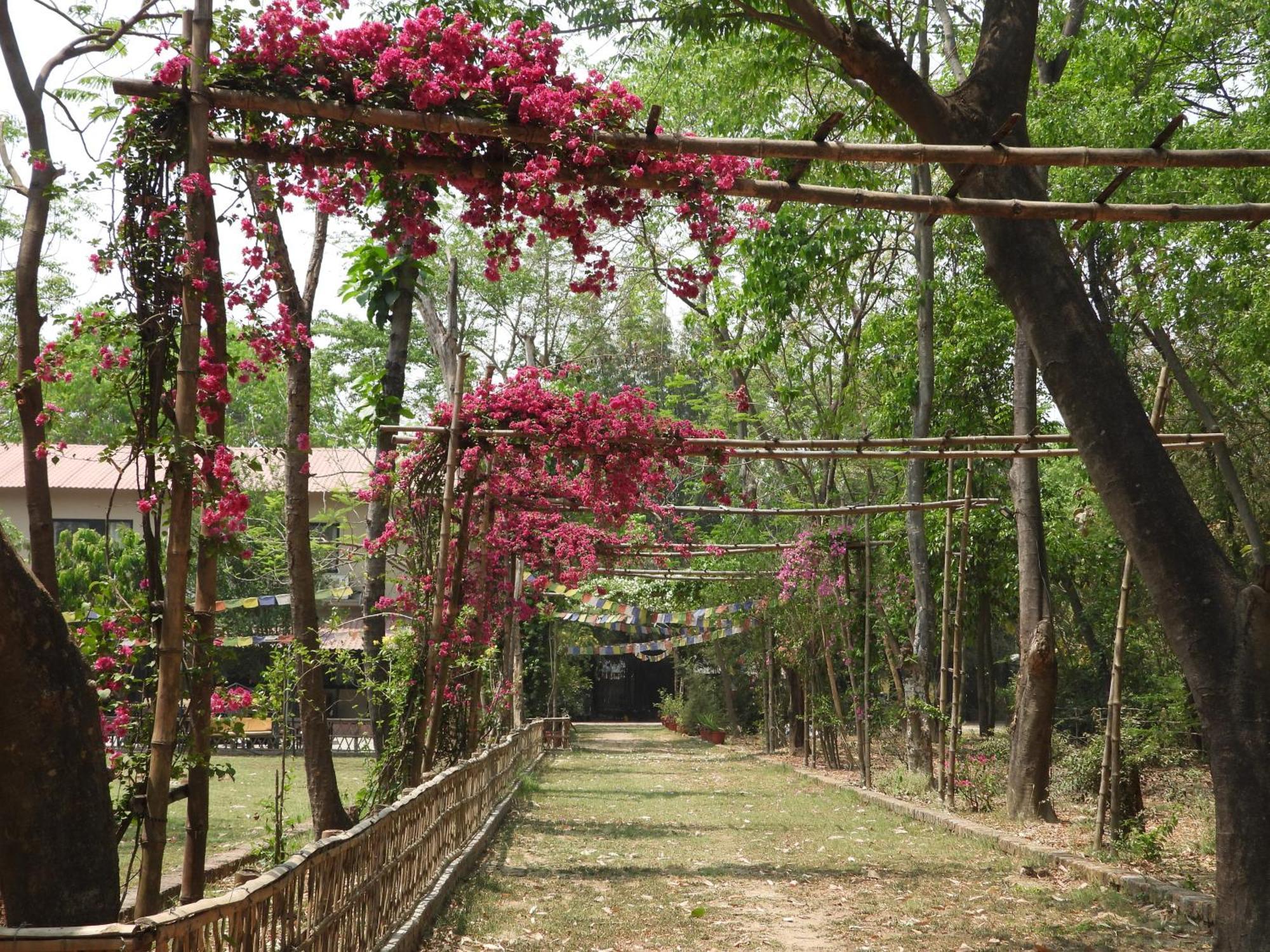 Lumbini Buddha Garden Resort Bagian luar foto